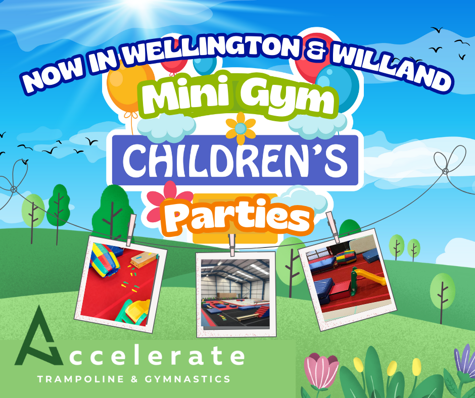 Mini Gym Parties Somerset and Devon